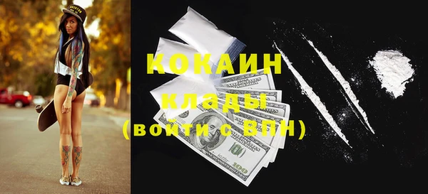 хмурый Арсеньев