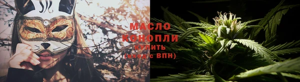 хмурый Арсеньев