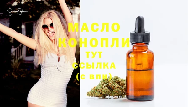 хмурый Арсеньев