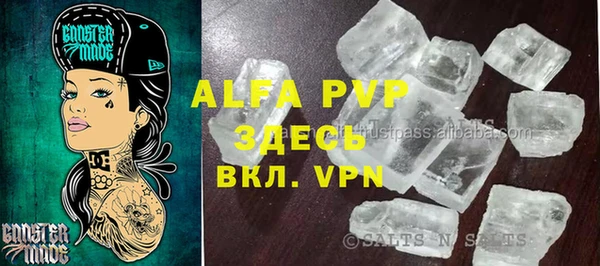 хмурый Арсеньев