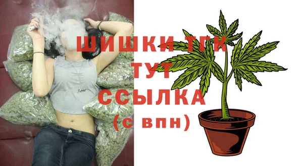 хмурый Арсеньев