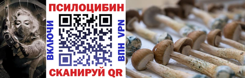 Псилоцибиновые грибы прущие грибы  Сатка 