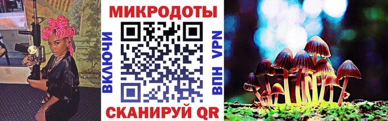 Галлюциногенные грибы Psilocybe Сатка